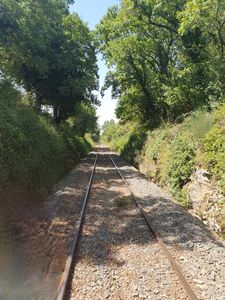 Vélorail